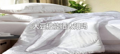 ​大豆被能晒太阳吗（大豆被能在太阳下晒吗）