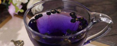 ​如何辨别黑枸杞子真假