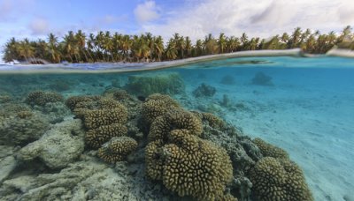 ​地球上最大的生态系统是