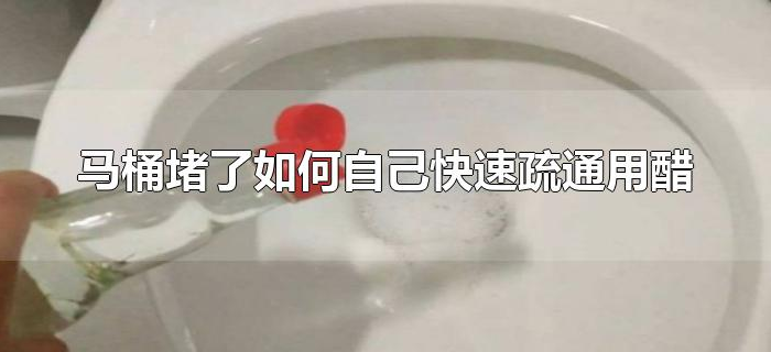 马桶堵了如何自己快速疏通用醋