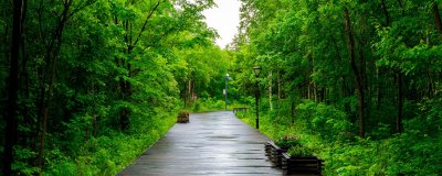 ​重庆照母山是属于哪个区