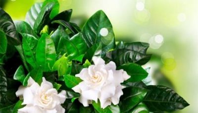 ​12315如何匿名举报12315怎么匿名投诉举报