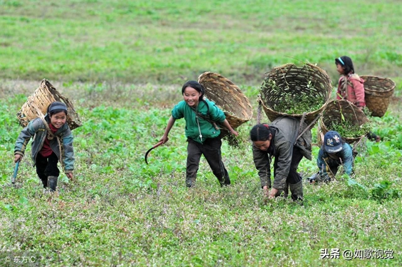 大凉山孩子10张图，稚嫩的他们有太多无奈，哪一张刺痛了你的心