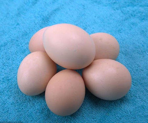 gif出处经典老司机 孤独的时候它能改变你的想法