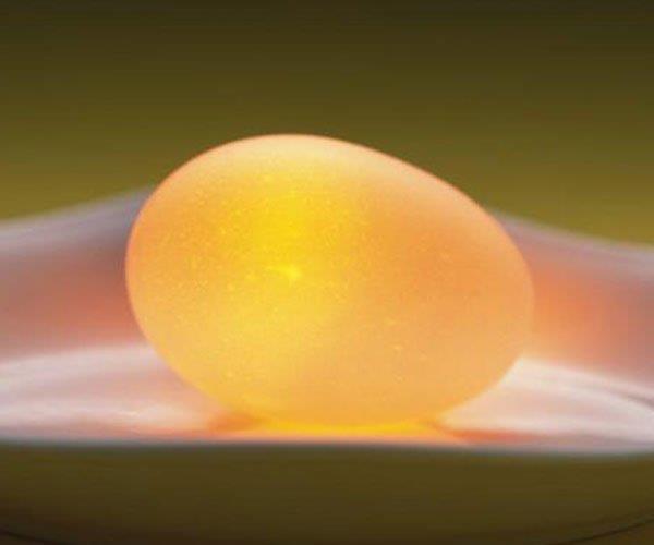 gif出处经典老司机 孤独的时候它能改变你的想法