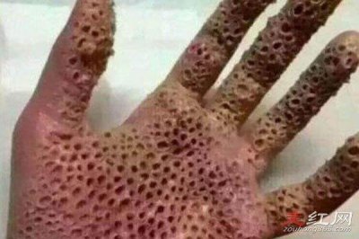 ​玉米男孩是真实事件吗就是十宗罪中的一个故事情节