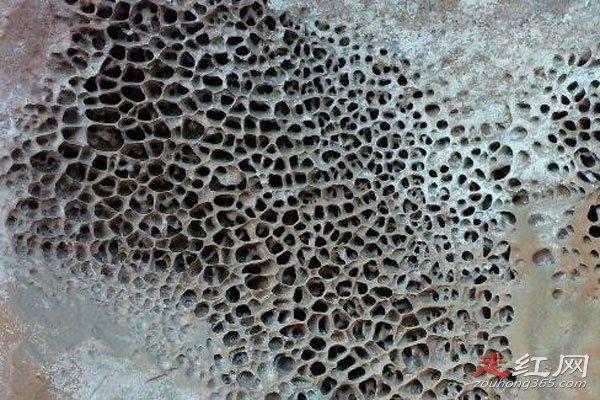 玉米男孩是真实事件吗 就是十宗罪中的一个故事情节