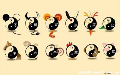 ​十二生肖排序，十二地支的形象化代表(十二生肖排序表图)