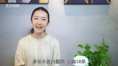 ​鲨鱼大概有多长 鲨鱼有多长有多宽