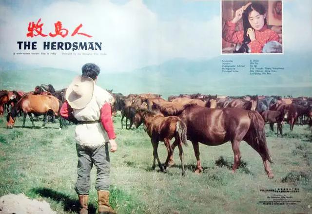 国产经典怀旧老电影（10部经典国产老电影）(9)