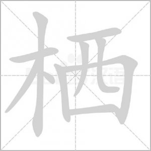 ​“栖”怎么读?什么意思?栖息读音怎么读?什么时候该读xī?