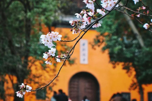 南京鸡鸣寺为什么出名？