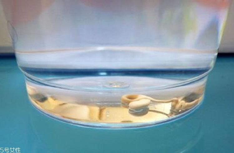 隔离霜怎么检测重金属 隔离霜铅汞鉴别方法