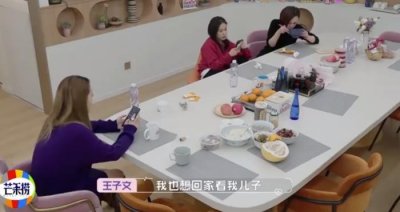 ​王子文孩子是谁的（王子文终于承认自己有个儿子）