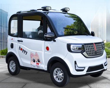 ​2款老年人青睐的电动小四轮，5000多起步，能遮风挡雨，代步接娃