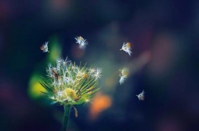 ​医治青少年近视产品淘特儿童青少年近视产品治理通知