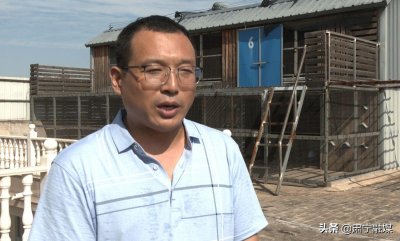 ​肃宁融媒 - 孔凡永：40年，从鸽痴到中国鸽界“总教头”