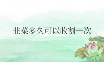 ​韭菜多久可以收割一次最好（露天韭菜一年能割几茬）
