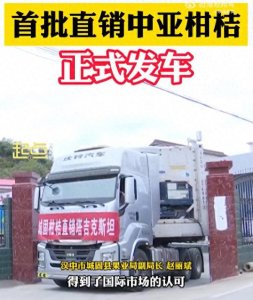 ​首批汉中产柑桔开启直销中亚之旅！