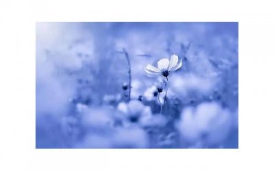 ​和女孩子说起土味情话