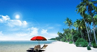 别被他们的“傻”骗了，其实内心超精明，这3生肖装傻充愣的高手