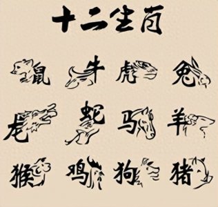 "生肖属鸡出生月份大解密：哪个月的鸡人天生好运连连？"