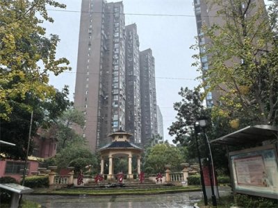 ​合肥房姐房产帝国崩塌，83套房拍卖，谁动了我们的财富梦？