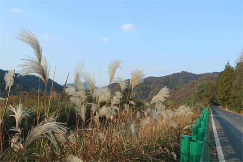 皖南川藏线自驾游危险系数极高？S218的操作感也毫不逊色？