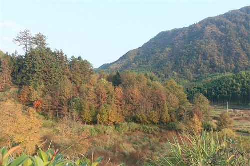 皖南川藏线自驾游危险系数极高？S218的操作感也毫不逊色？