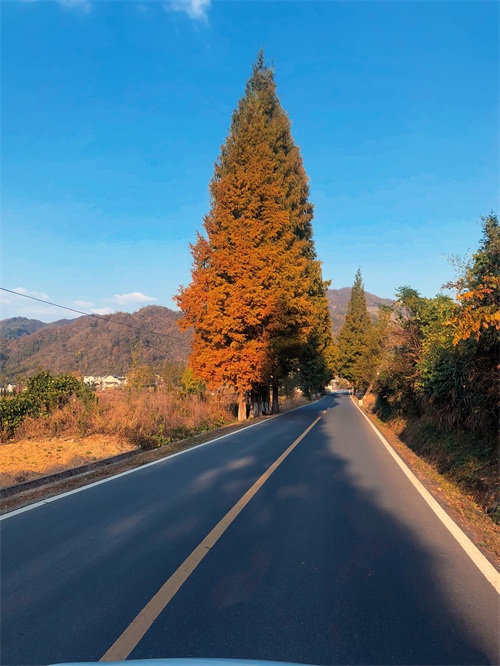 皖南川藏线自驾游危险系数极高？S218的操作感也毫不逊色？