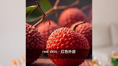 ​荔枝-磨耳朵学英语，提升认知