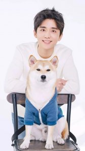 ​壁纸|明星壁纸合集（一）:有你的爱豆吗？快来pick吧！