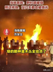 ​昆明牯牛山爆火游客半夜“纵火烧山”，网友怒批：牢底坐穿