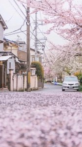 ​“让人瞬间沦陷的撩人情话文案句子”