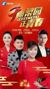 美女主持人坚守25年，成为《梨园春》开播30年的当家“花旦”