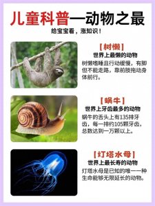 ​15个世界动物之蕞聪明宝宝懂得多‼️
