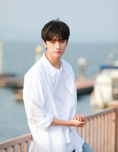 ​我喜欢的男明星之一：林一