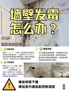 ​墙壁发霉怎么办？仅3步，拯救你家的墙面！
