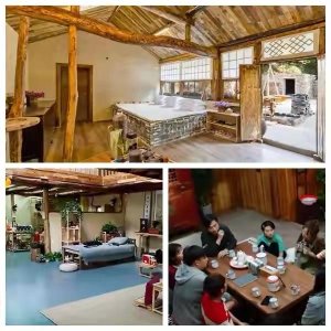 ​《向往的生活》蘑菇屋装修都是原木风，看着好舒适它到底有何魅力