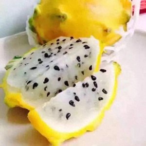 ​你从未见过的水果（燕窝果）