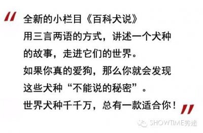 ​百科犬说之西藏梗