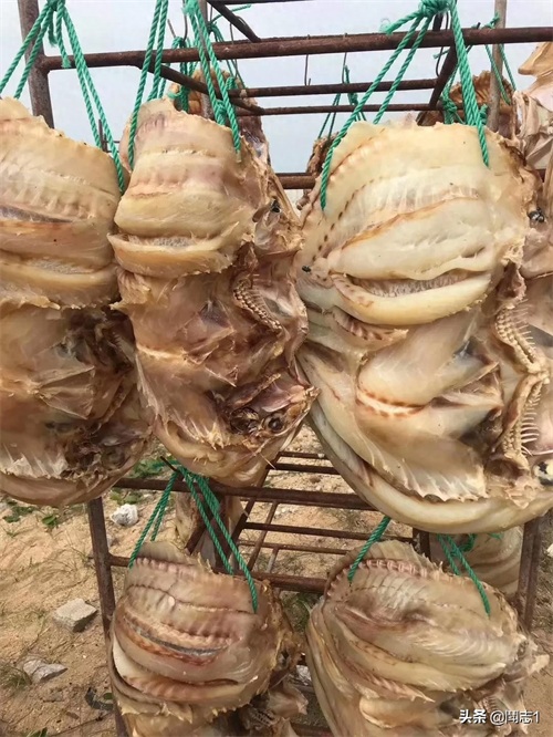 海南儋州海头红鱼干
红鱼的学名为红鳍笛鲷，又名红鱼。