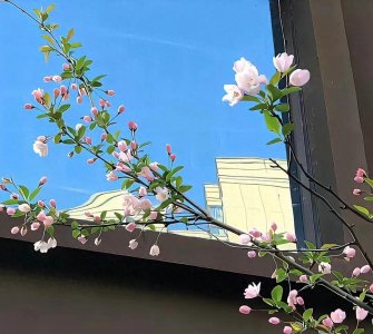 ​中国国内失业率大吗？