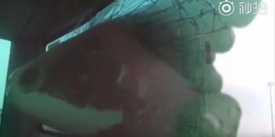 ​摆渡车倒车撞上飞机，机头插入车身，网友：想摆渡飞机？