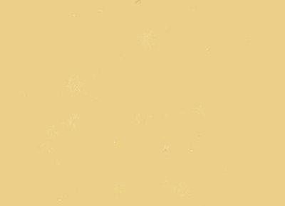 ​蒋梦婕电视剧（蒋梦婕与霸道总裁姐弟恋）