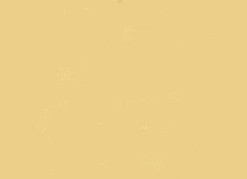 蒋梦婕电视剧（蒋梦婕与霸道总裁姐弟恋）