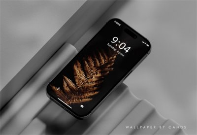 ​壁纸推荐 - 黑暗中的那一道光