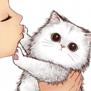 ​无水印头像｜酷酷的猫咪头像系列二