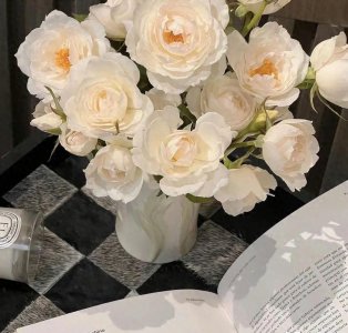 10月24号起，运气大爆发，喜事挡不住，横财大奖滚滚来的三大星座