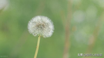 容易被困在回忆里，走不出来了的三个星座！